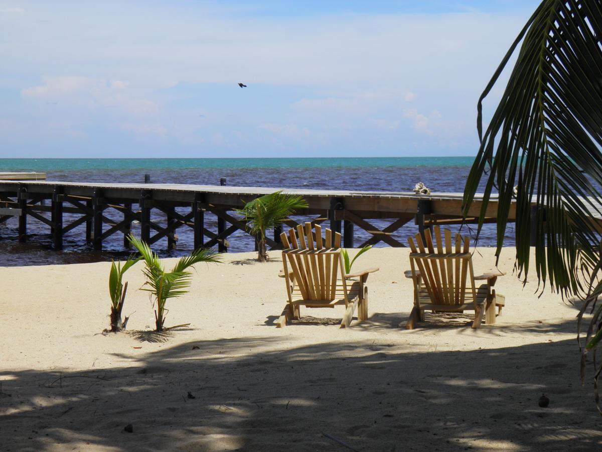 Sabal Beach Hotel Monkey River Town Kültér fotó