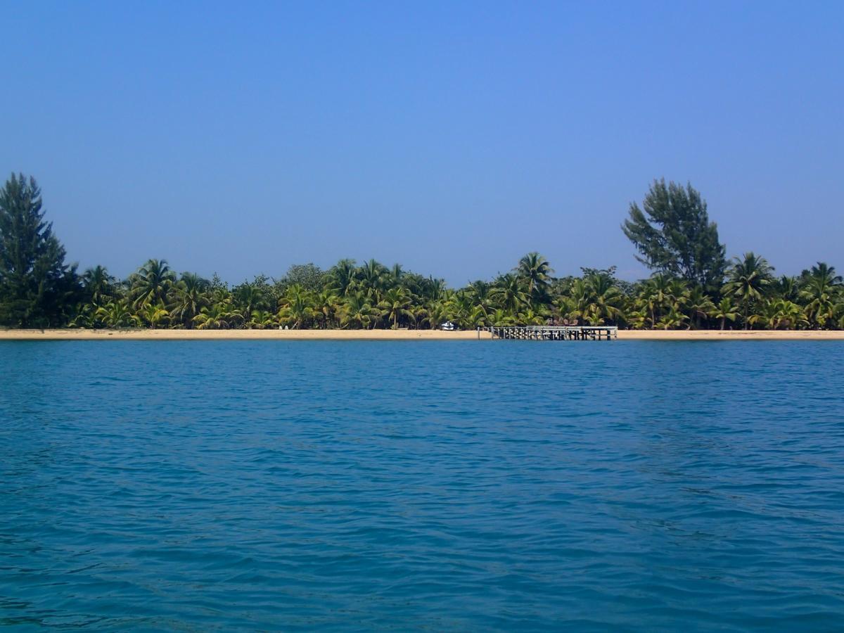Sabal Beach Hotel Monkey River Town Kültér fotó
